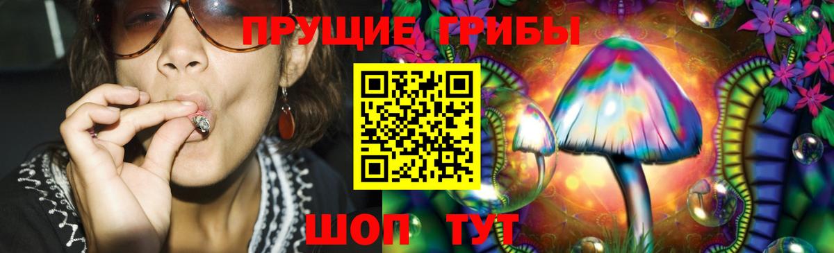 Псилоцибиновые грибы Cubensis Владимир